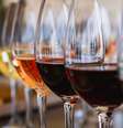 Vinhos  Foto: iStock