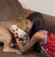 Um vídeo no Tik Tok se tornou viral em julho de 2023, após Paçoca - uma pinscher "ciumenta" - latir para sua tutora, uma criança, quando ela se aproximava do "irmão" pitbull, de nome Big.  Foto: Reprodução do TikTok @pipoquinhaepacoca / Flipar