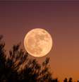 Agosto terá "superlua" em duas datas  Foto: Pexels