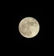 Superlua em Aquário é hoje (01) -  Foto: Shutterstock / João Bidu