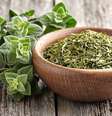 Conheça os benefícios do alho - Shutterstock  Foto: Alto Astral