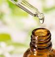 Os melhores aromas para essa Lua em Áries -  Foto: Shutterstock / João Bidu