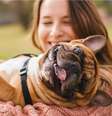 Cães com marcas faciais mais simples parecem fazer movimentos mais expressivos  Foto: Branislav Nenin | Shutterstock / Portal EdiCase
