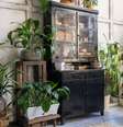 Essas plantas são ideias para quem mora em apartamento -  Foto: Shutterstock / João Bidu