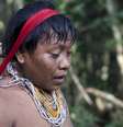 Os yanomami são um dos maiores povos indígenas de recente contato da América do Sul  Foto: Reprodução/Wikipedia
