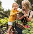 Nada melhor do que plantar, colher e consumir um alimento em sua própria casa  Foto: Jacob Lund | Shutterstock / Portal EdiCase