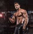 Musculação favorece a saúde geral do corpo  Foto: Lebedev Roman Olegovich | Shutterstock / Portal EdiCase