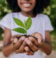 Entenda o que é ecologia e qual é a sua importância  Foto: andreswd / iStock