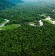 Descubra quais são os ecossistemas brasileiros  Foto: FG Trade / iStock