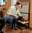 A limpeza da parte interna e externa garante a saúde do seu pet  Foto: VH-studio | ShutterStock / Portal EdiCase