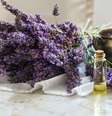 Aromaterapia pode potencializar momentos de bem-estar no dia a dia  Foto: shustrilka / Adobe Stock
