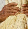 Mulheres indígenas lideram projetos de geração de renda e agroecologia  Foto: Vic Birkbeck