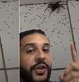 Youtuber Matheus Mesquita, do canal Biomesquita, mostra aranha-lobo e seus filhotes  Foto: Reprodução / Youtube @biomesquita