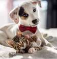Resultados do PetCenso 2023 sobre os nomes e raças mais comuns dos pets foram divulgados recentemente - Shutterstock  Foto: Alto Astral