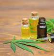 Cannabis medicinal: 20 doenças que podem ser tratadas com CBD -  Foto: Shutterstock / Saúde em Dia