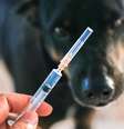 Saiba mais sobre a raiva humana - Shutterstock  Foto: Alto Astral