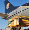 Ação integrada dos Ministérios do Meio Ambiente e Mudança do Clima, Justiça e Segurança Pública e Relações Exteriores fará a repatriação dos animais apreendidos no Suriname  Foto: Polícia Federal/Divulgação / Estadão