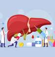 Por meio de um estilo de vida saudável, é possível manter a saúde do fígado em bom estado  Foto: freshcare | Shutterstock / Portal EdiCase