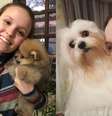 Larissa Manoela e seus cães  Foto: Reprodução/Instagram / Mais Novela