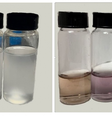 Brasileiros usam cana-de-açúcar para limpar água (Imagem:Leal et al, 2023/Pure and Applied Chemistry)  Foto: Canaltech