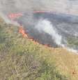 Fogo atinge área rural em Monte Alto, no interior de São Paulo  Foto: Rádio Cultura de Monte Alto/Facebook/Reprodução / Estadão