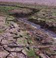 El Niño provoca fortes secas nas regiões Nordeste e Norte do Brasil  Foto: terstill / iStock