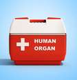 O Brasil é o segundo país que mais faz transplantes  Foto: NosorogUA | ShutterStock / Portal EdiCase