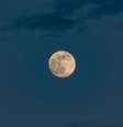 Durante a Lua Azul, nosso satélite natural mantém a cor acintenzada (Imagem: Reprodução/Ahmed Abbas/Unsplash)  Foto: Canaltech
