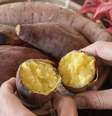 Dieta com batata doce emagrece - Shutterstock  Foto: Sport Life
