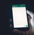 Veja como configurar o WhatsApp para dar respostas automáticas  Foto: Christian Wiediger/Unsplash