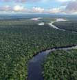 Floresta Amazônica é fundamental para as chuvas no continente  Foto: Rhett Ayers Butler - Mongabay / iStock
