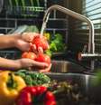 Alimentos frescos, sejam da feira ou supermercado, sempre devem ser higienizados  Foto: iStock