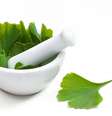 Ginkgo biloba  Foto: Avalon_Studio / iStock