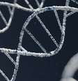 Heranças genéticas e influência externas, como a da radiação, podem causar mutações cancerígenas no DNA, mas um novo fator pode ter sido descoberto — a topografia do DNA (Imagem: Warren Umoh/Unsplash)  Foto: Canaltech