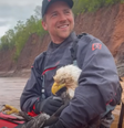 Homem salva águia de afogamento no Canadá  Foto: Reprodução/Redes Sociais 