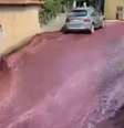 "Rio" de vinho tomou conta de ruas de uma cidade portuguesa  Foto: Reprodução