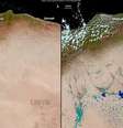 Imagens foram capturadas pelo satélite Sentinel 2 do Copernicus   Foto: Ansa