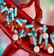 Sepse mata uma pessoa a cada 2,8 segundos: entenda a septicemia -  Foto: Shutterstock / Saúde em Dia