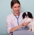 Problemas cardiovasculares nos pets podem ser prevenidos com cuidados simples  Foto: Serova_Ekaterina | Shutterstock / Portal EdiCase