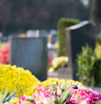 Iraci de 84 anos faleceu durante o velório da neta Kaliane Medeiros  Foto: iStock/FrankyDeMeyer