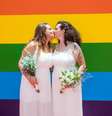 Comissão da Câmara volta a discutir projeto que impede casamento homoafetivo  Foto: Divulgação/Casa1