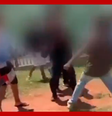 Vídeos mostram pais incitando briga generalizada de alunos em frente a escola no DF  Foto: Reprodução