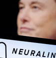 Embora o envolvimento de Musk aumente a visibilidade da Neuralink, a empresa enfrenta rivais que já acumulam experiência há quase duas décadas  Foto: Reuters / BBC News Brasil