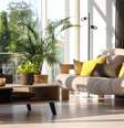 As plantas ajudam a reduzir o calor dentro de casa -  Foto: Shutterstock / Alto Astral