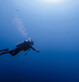 Cientista descobrem novo vírus na Fossa das Marianas, local mais profundo da Terra  Foto: Bobbi Wu/Unsplash