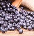 Confira as vantagens de consumir jabuticaba - Shutterstock  Foto: Alto Astral