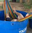 Idoso monta rede dentro de caixa d'água para driblar o calor  Foto: Reprodução/Twitter
