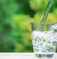 Atraia amor com este elemento da natureza -  Foto: Shutterstock / João Bidu