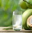 A água de coco possui poucas calorias -  Foto: Shutterstock / Alto Astral