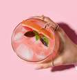 Refresque-se nesta Primavera com o drink do seu signo -  Foto: Shutterstock / João Bidu